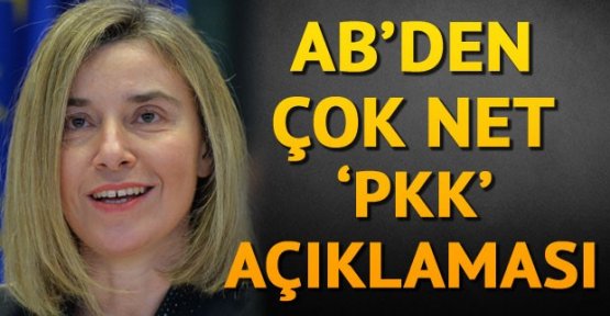 AB’Den Çok Net PKK Açıklaması