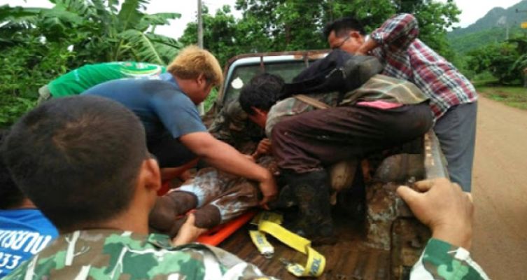 Tayland'da Vahşi Fillerin Saldırısı Can Aldı