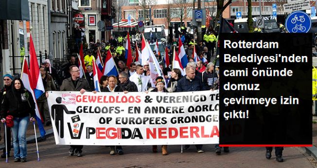 Rotterdam Belediyesi'nden Skandal İzin: Cami Önünde Domuz Çevirmek Serbest!