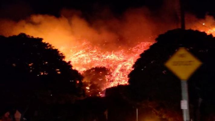 California'da yangınlar sürüyor: 200 bin hektar ormanlık alan kül oldu