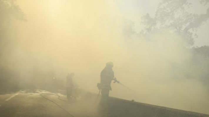 Fransa'da orman yangınları: 5 itfaiyeci yaralandı