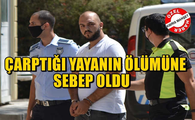 Ali Bayırbaşı 3 gün poliste tutuklu kalacak
