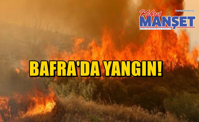Bafra’daki yangın ormanlık alana yayıldı