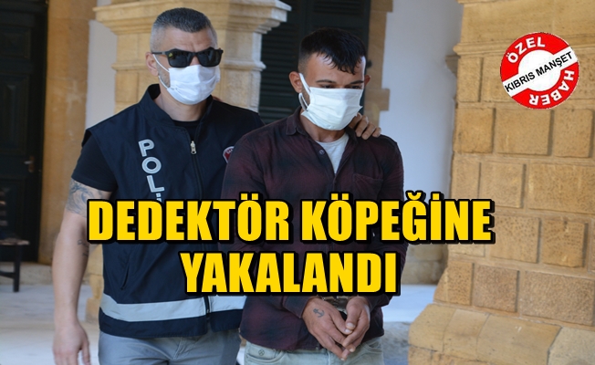 Mehmet Ali Sümbül tutuklu yargılanacak