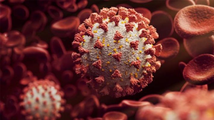 Bilim insanları yüksek riskli koronavirüs genini ortaya çıkardı
