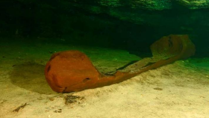 Meksika’da bin yıldan eski ahşap kano bulundu