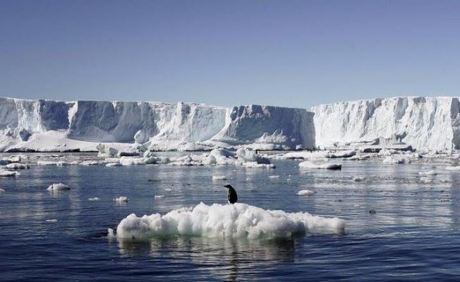Antarktika’da beklenmedik keşif: Yaşam formları bulundu