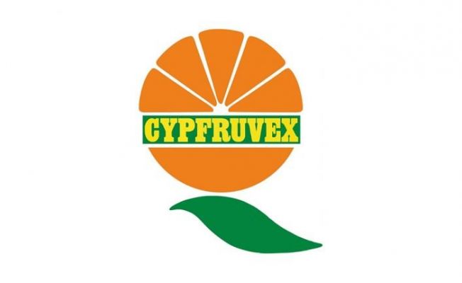 Cypfruvex, valensiya alımına yarından itibaren başlıyor