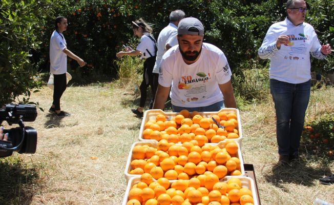 GAÜ’nün organize ettiği ‘Ambargolara Hayır Portakal Suyu Projesi’ lansmanı gerçekleştirildi