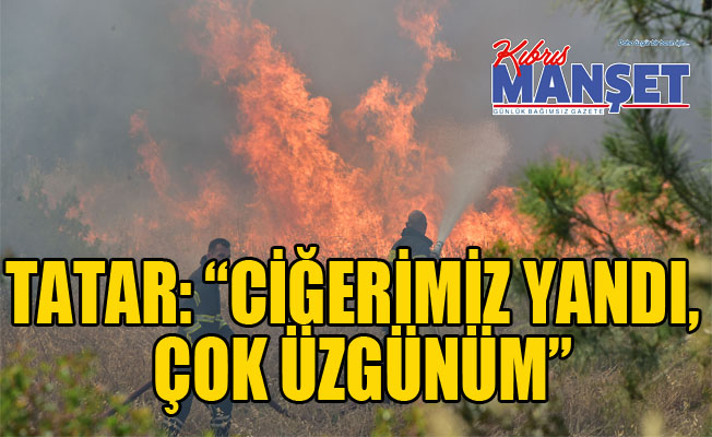 Tatar: “Ciğerimiz yandı, çok üzgünüm”