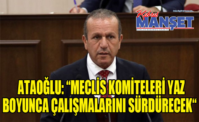 Ataoğlu: “Meclis komiteleri yaz boyunca çalışmalarını sürdürecek“