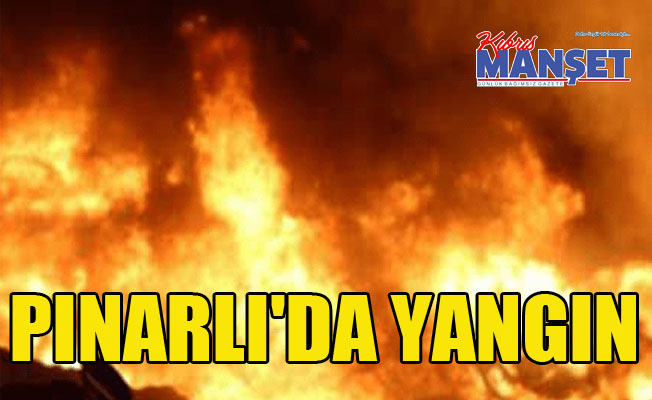 Pınarlı'da yangın
