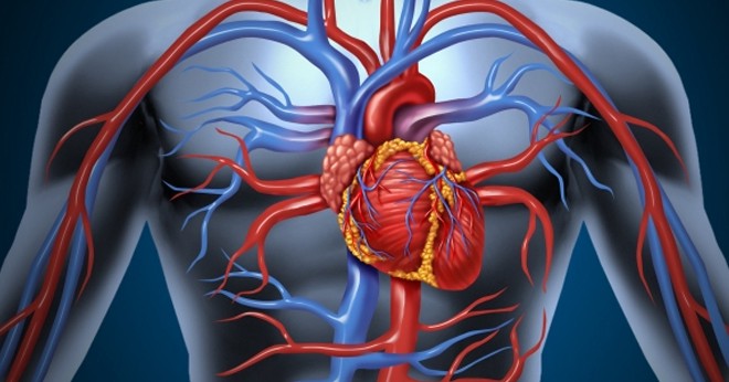 ABD'de yetişkinlerin yarısı kalp ve damar hastası