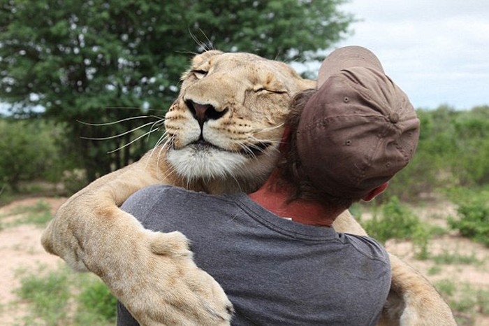 Almanya’da bir hayvanat bahçesinden 2 aslan, 2 kaplan ve 1 jaguar kaçtı