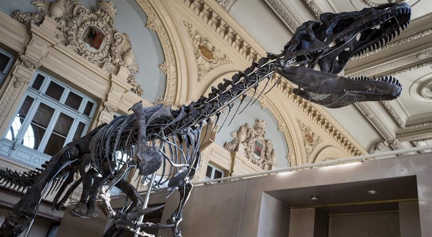 Dinozor iskeletine 2,36 milyon dolar