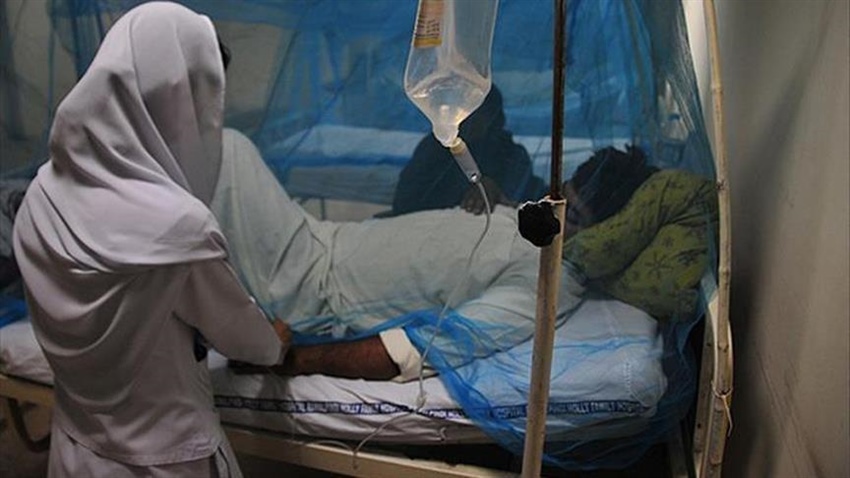 Hindistan'daki Nipah virüsü salgını