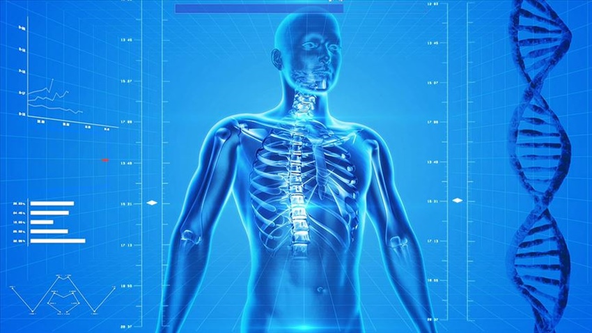 Osteoporoz kalıcı sakatlığa yol açabiliyor